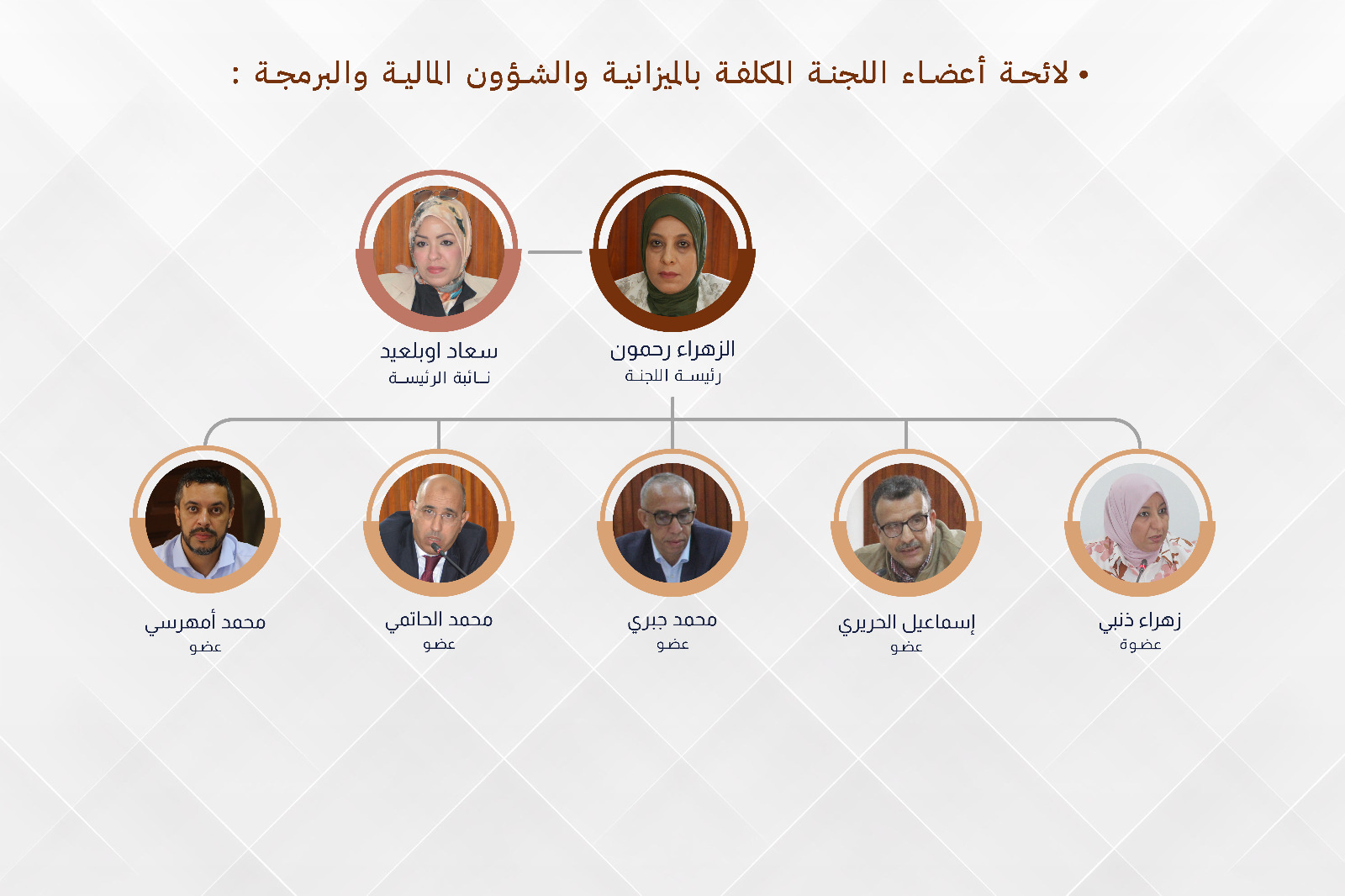 لجنة الميزانية و المالية و البرمجة